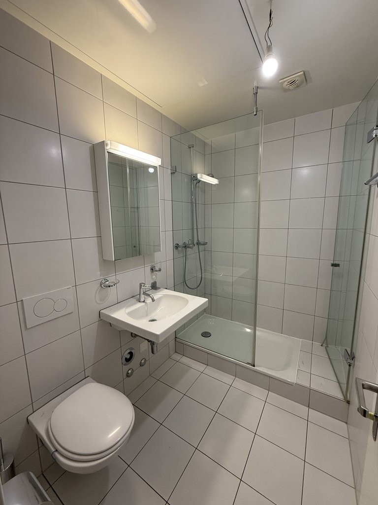 6 ½ rooms apartment, photo 9 sur 9