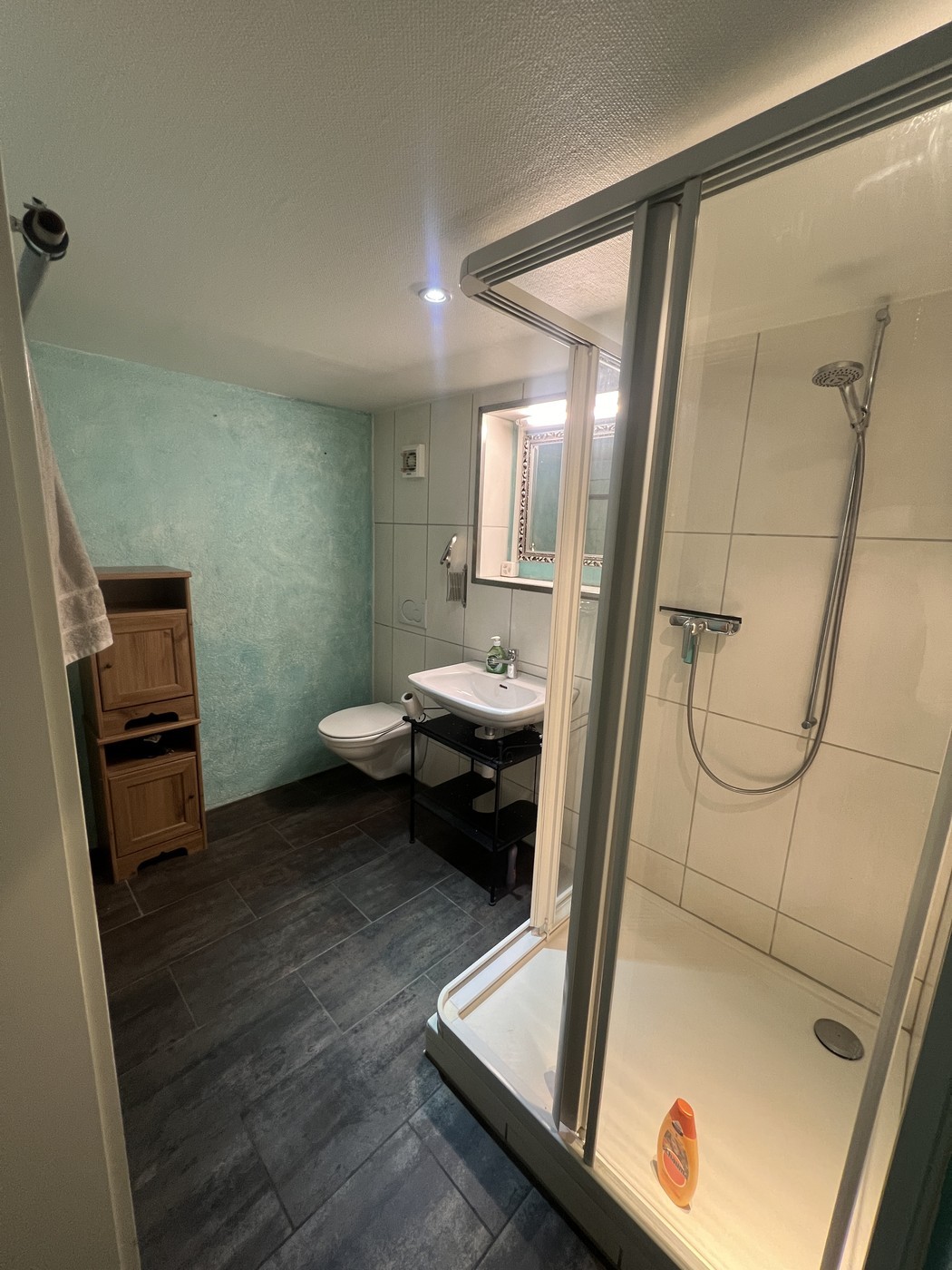 Appartement de 2 ½ pièces, photo 6 sur 7