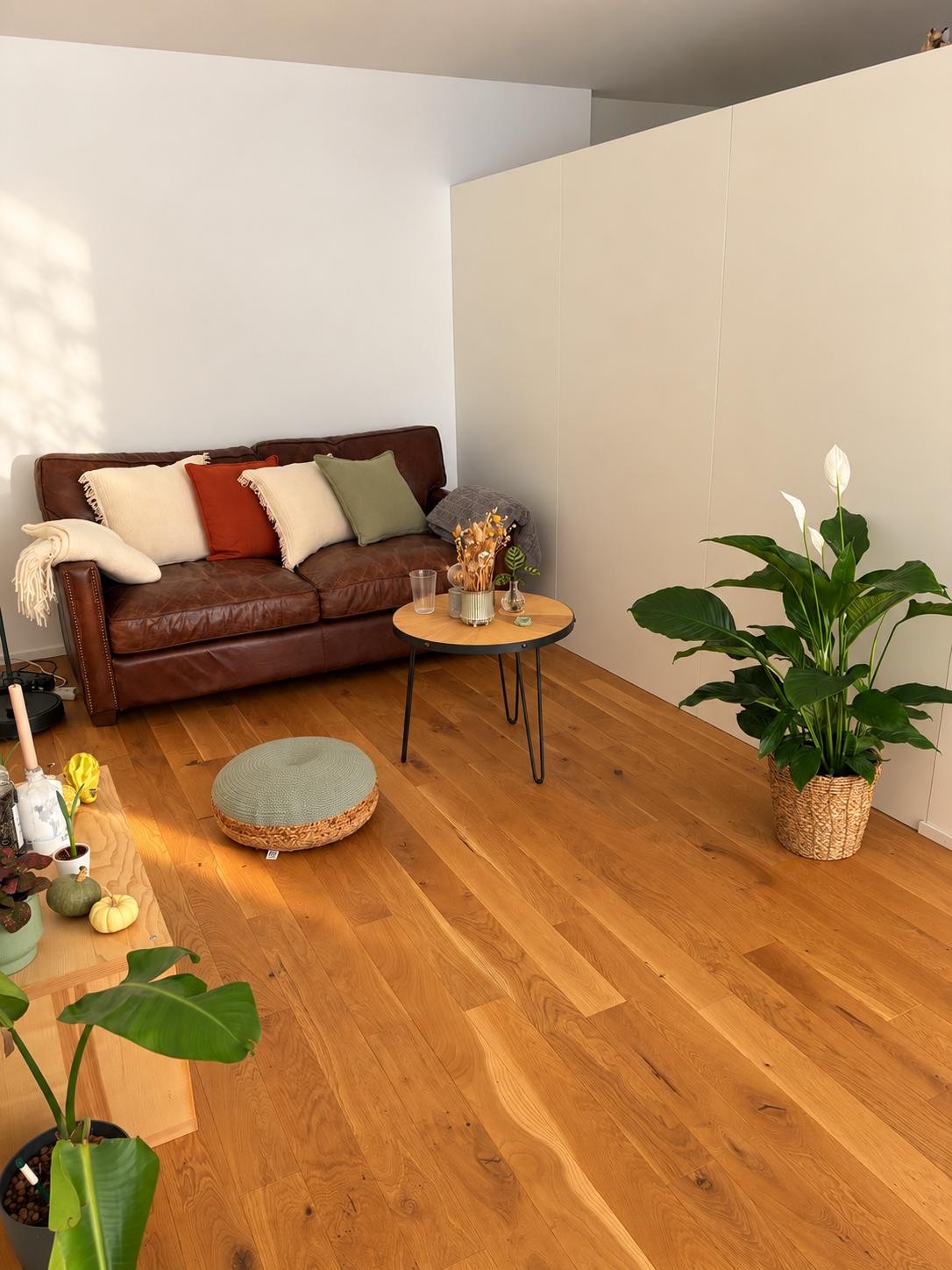 Chambre en colocation

Je sous-loue ma chambre meublée dans notre appartement de 4,5 pièces dans le beau quartier de Mattenhof à Berne de janvier à février.

L'appartement est situé à seulement 6 minutes à pied de l'Inselspital et est habité en commun avec deux médecins assistants. De plus, il dispo, photo 2 sur 6
