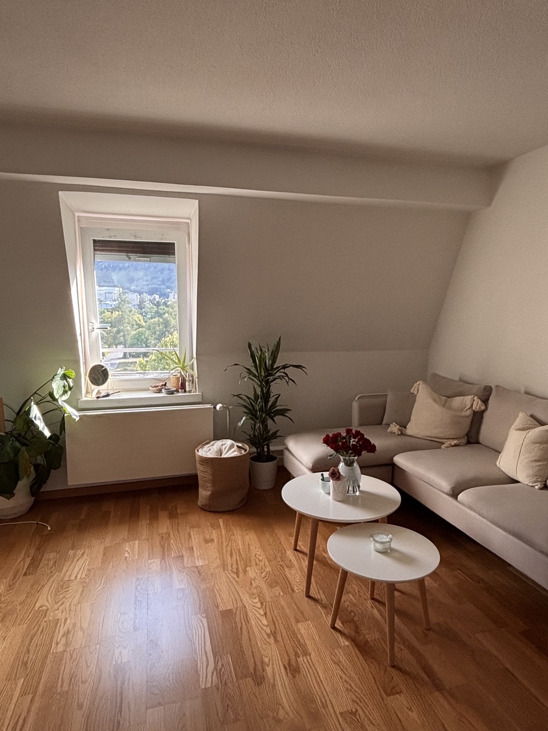 Chambre en colocation, photo 2 sur 5