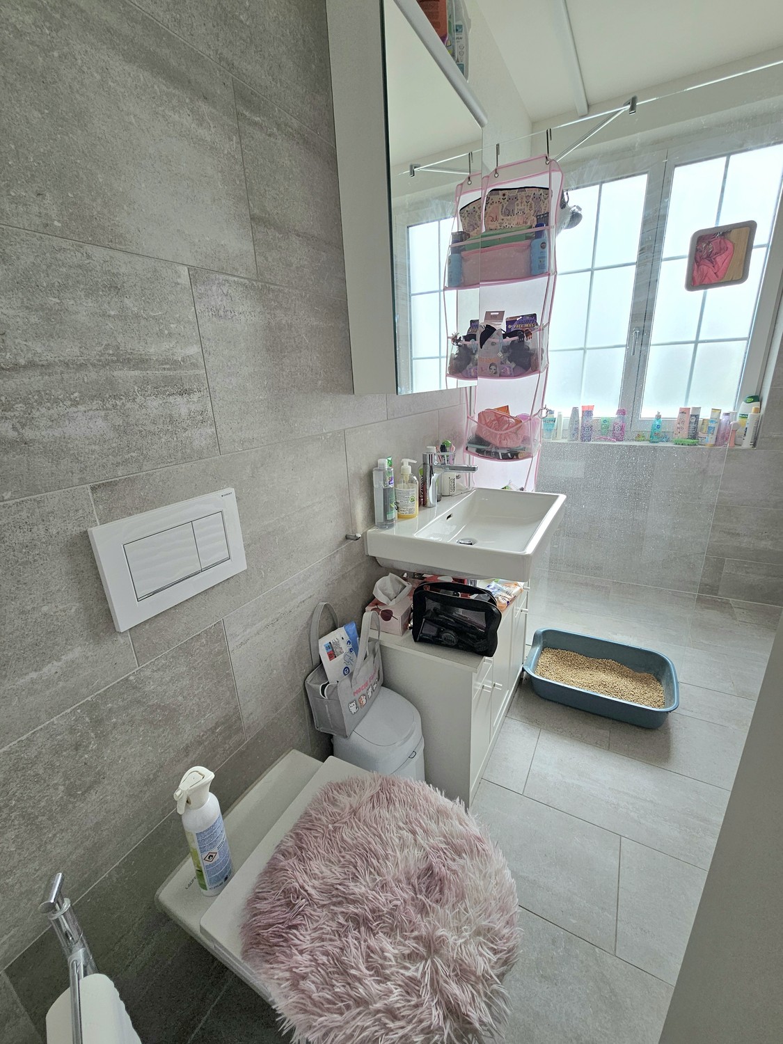 Appartement de 3 ½ pièces