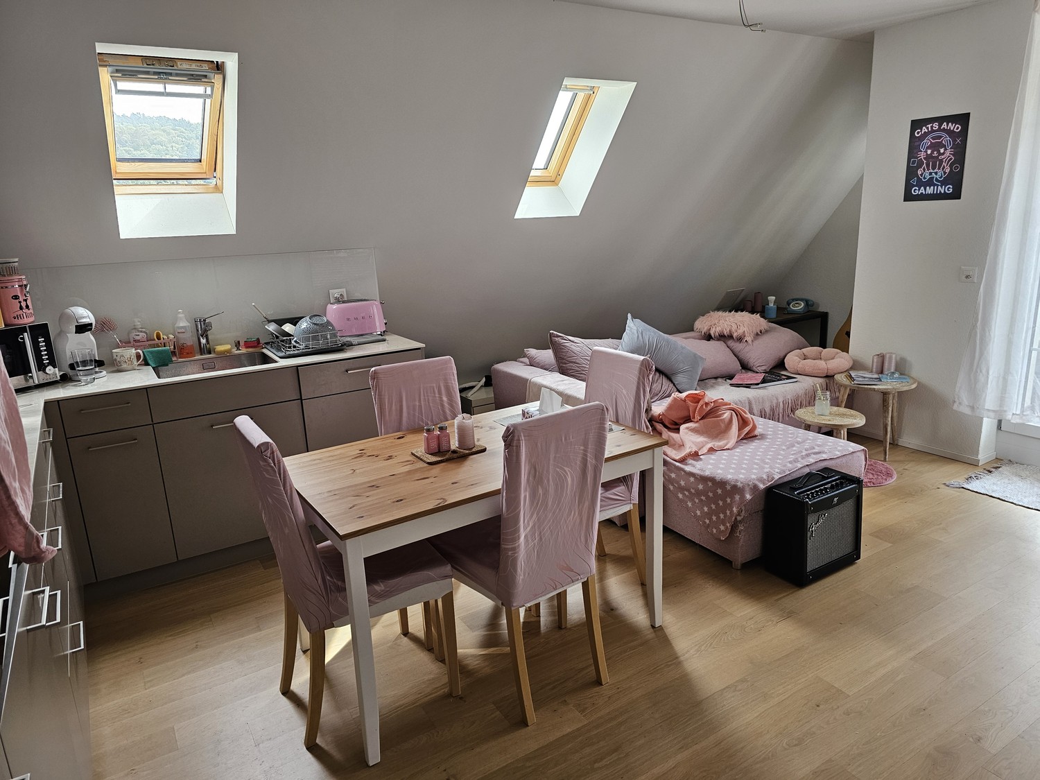 Appartement de 3 ½ pièces