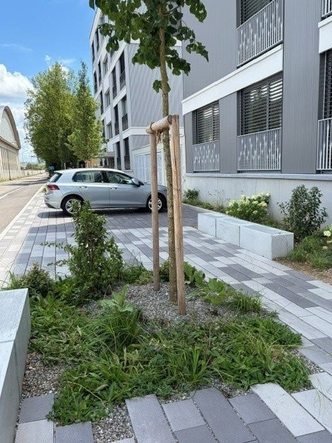 pièce de loisirs de 14m²