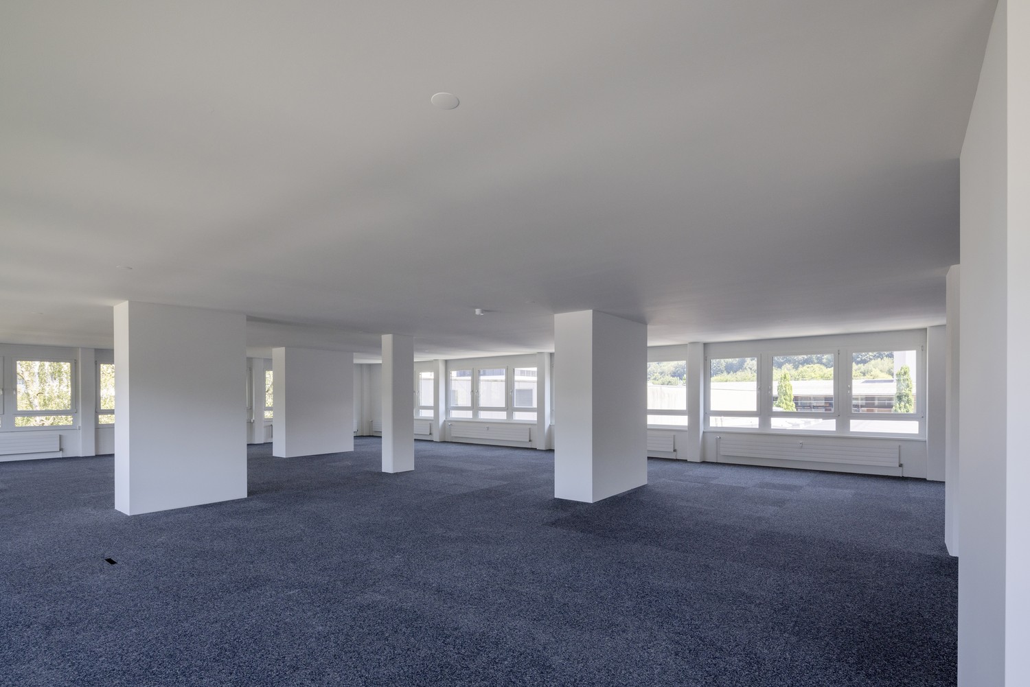 ufficio di 235m²