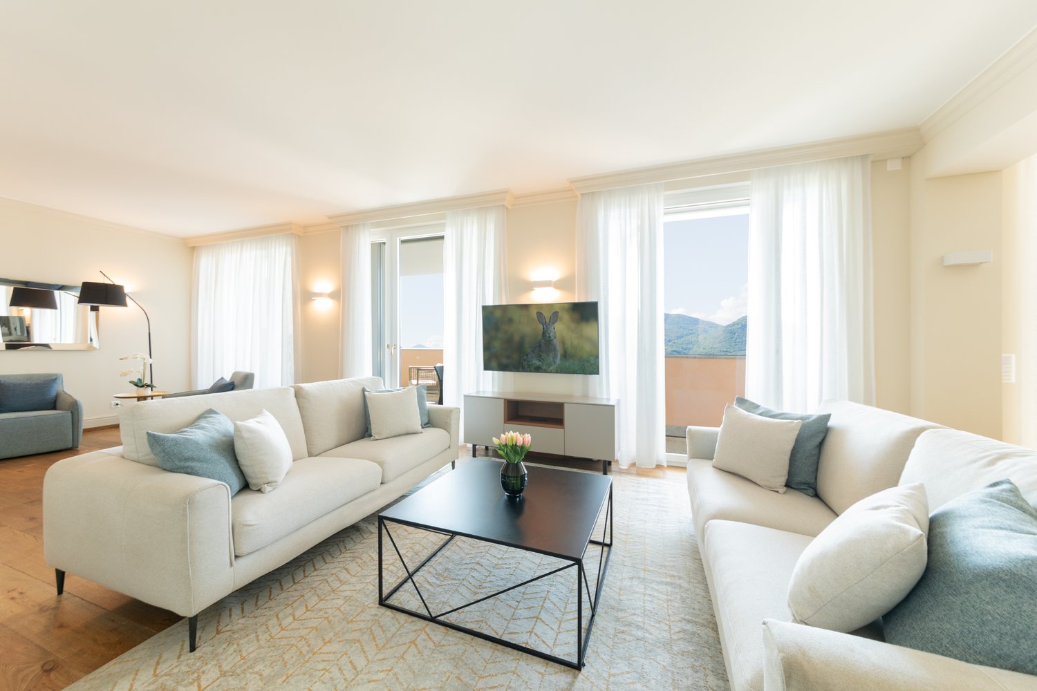 Appartement de 5 ½ pièces meublé