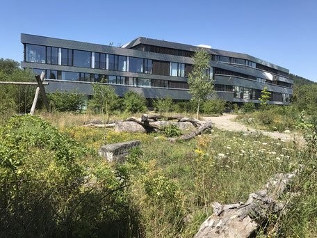 Appartement d'attique de 4 ½ pièces, photo 2 sur 7