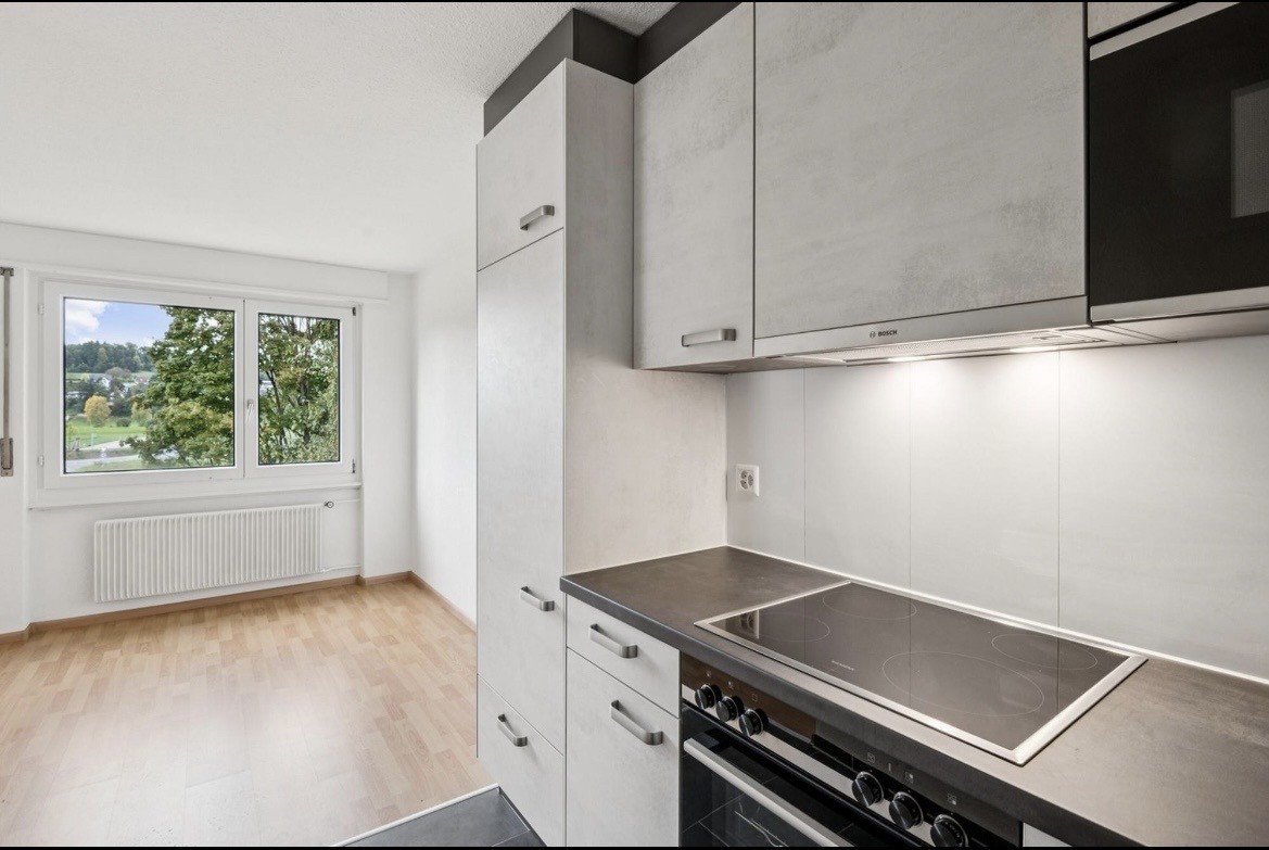 Appartement de 2 ½ pièces, photo 1 sur 8