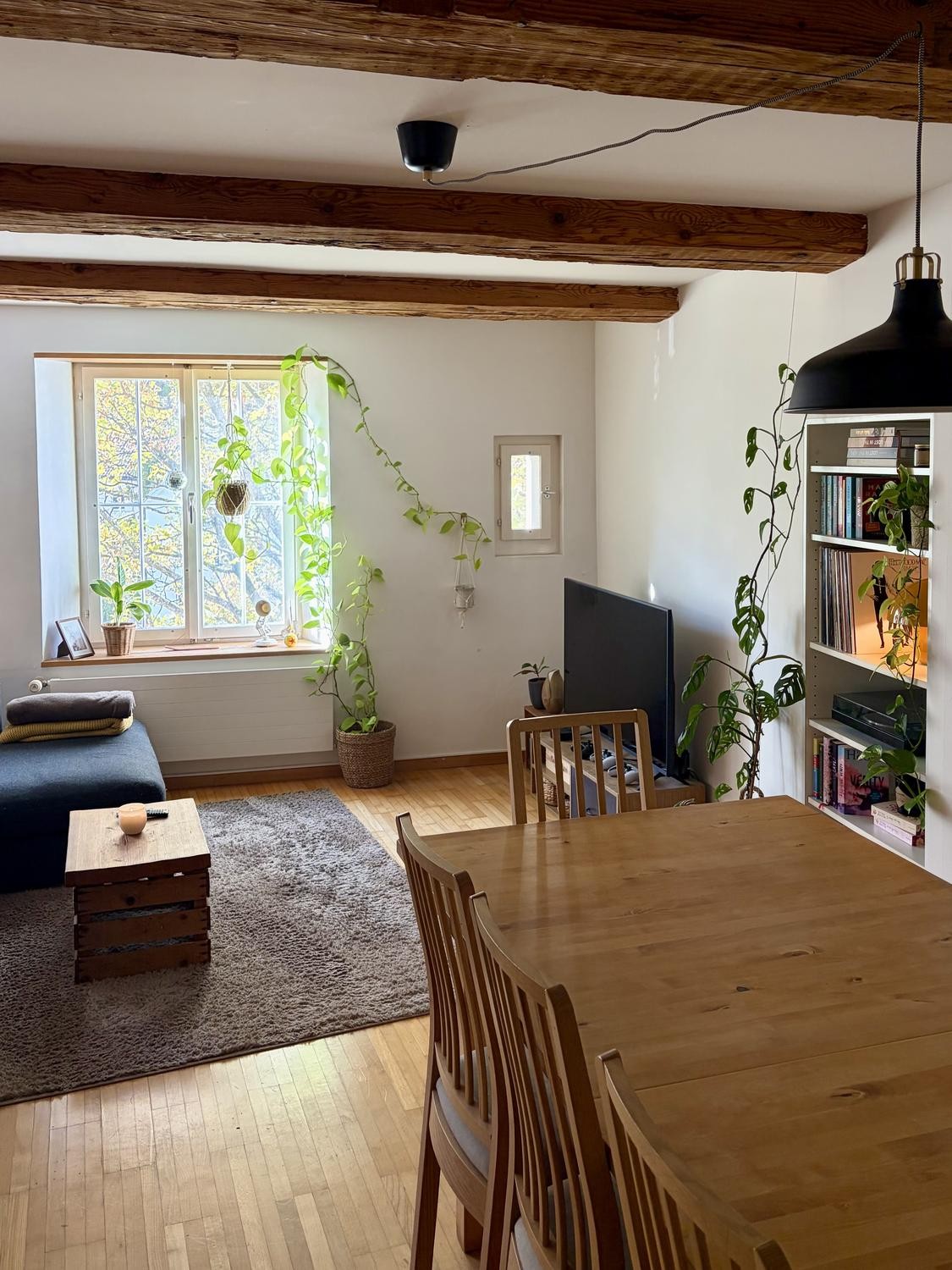 Appartement de 2 ½ pièces, photo 1 sur 8