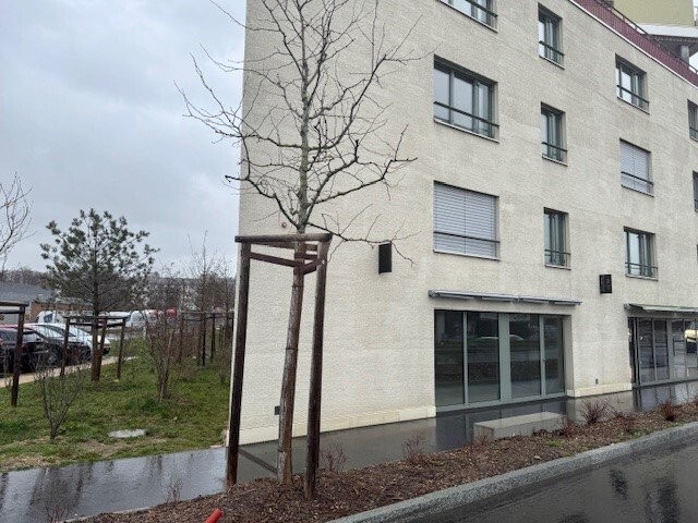 74m² commercial, photo 2 sur 4