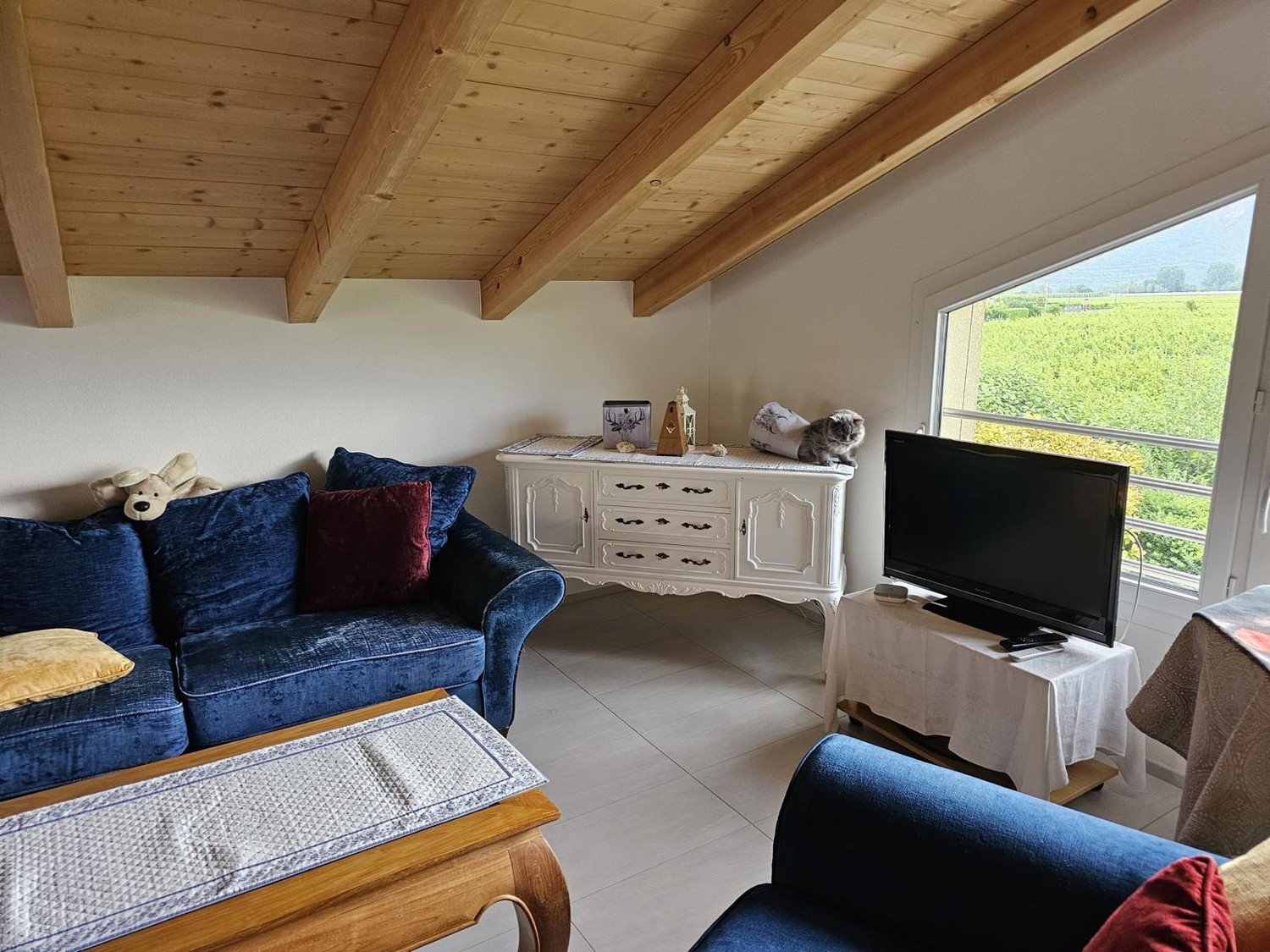 3 ½ Zimmer Wohnung