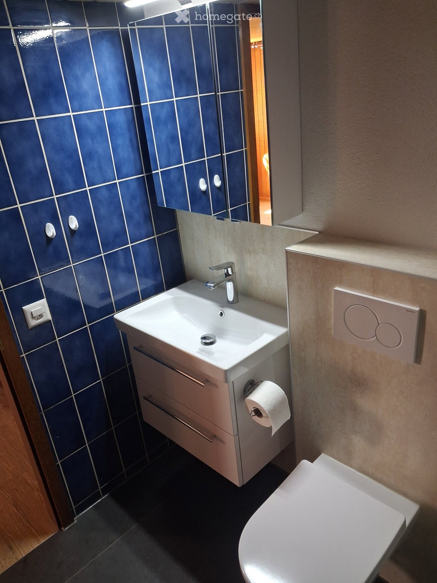 1 room apartment