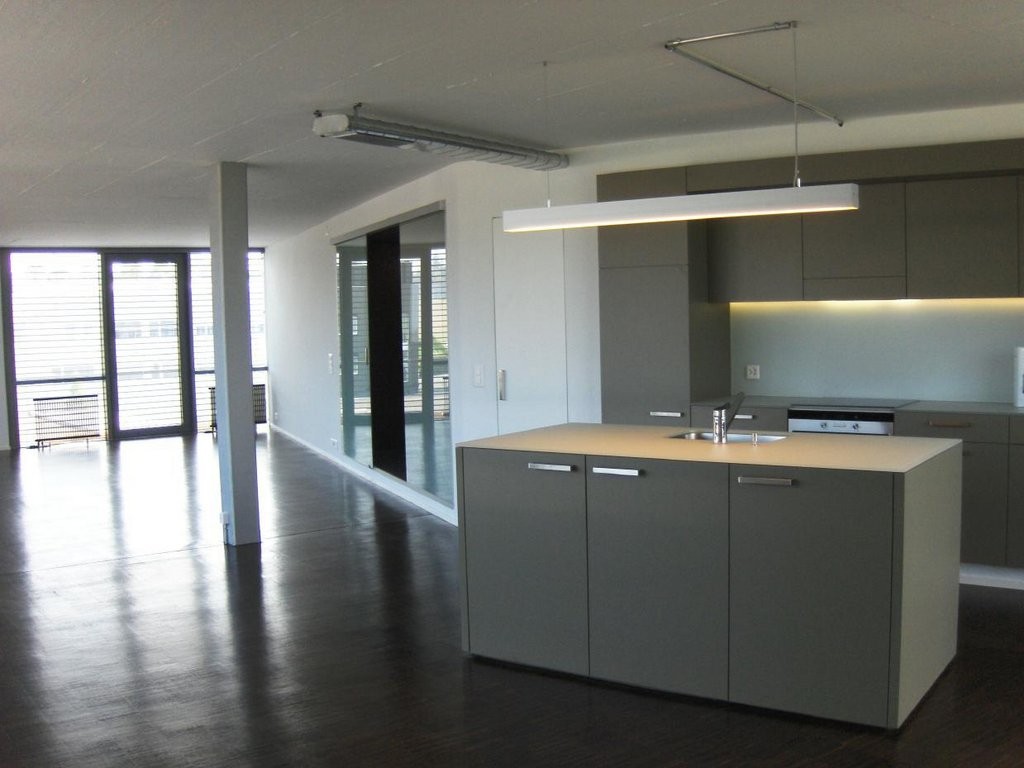 loft 1 pièce