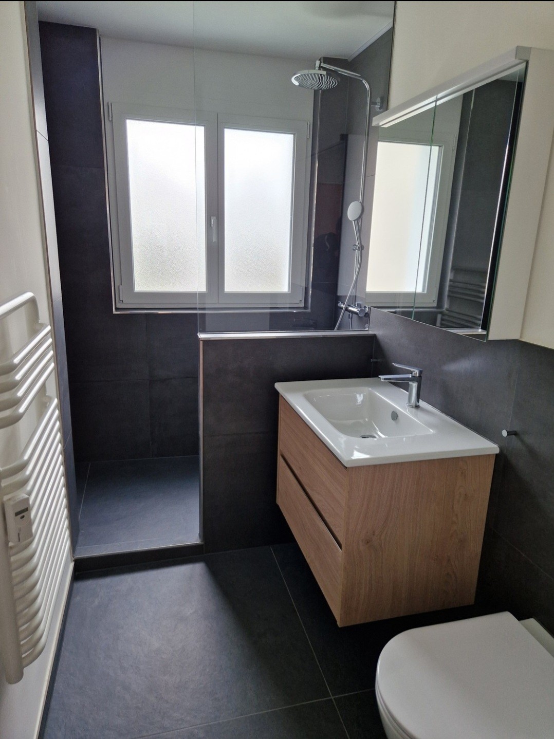 Appartement de 3 ½ pièces
