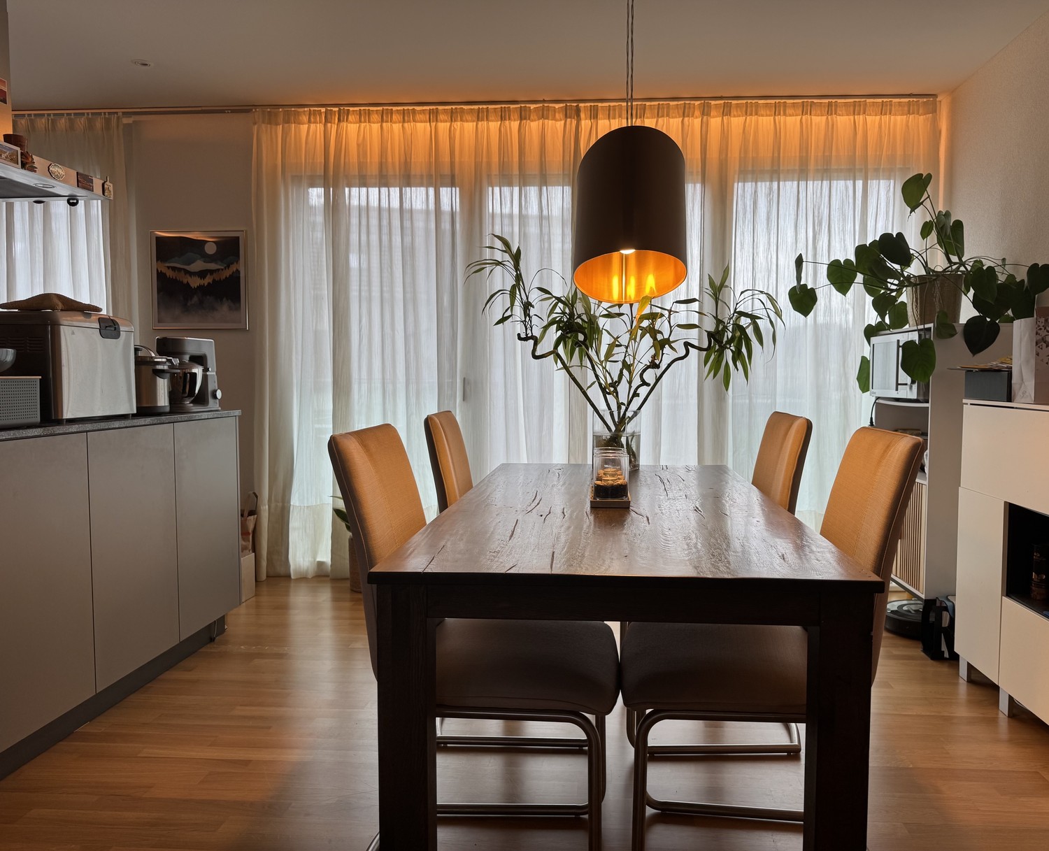 Appartement de 3 ½ pièces