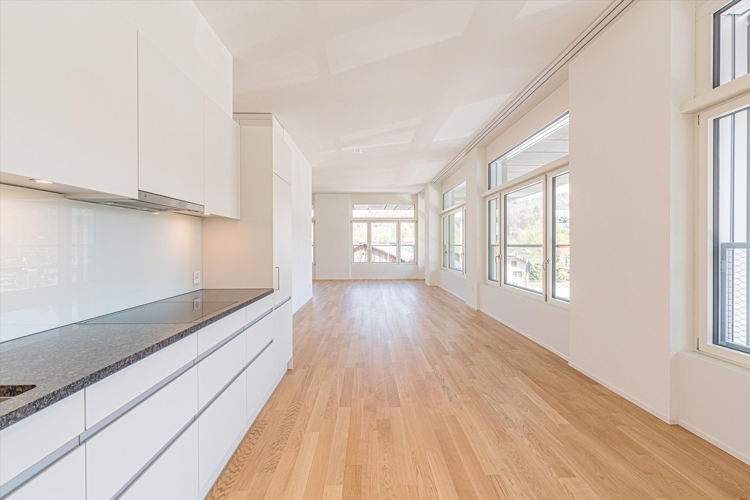 Appartement de 3 ½ pièces