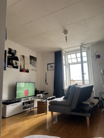2 ½ rooms apartment, photo 7 sur 9
