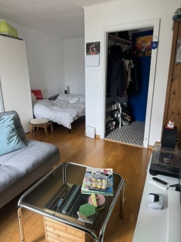 2 ½ rooms apartment, photo 8 sur 9