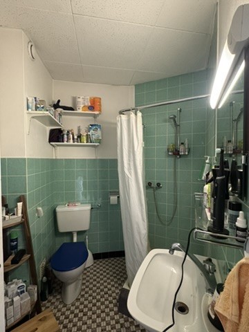 2 ½ rooms apartment, photo 6 sur 9