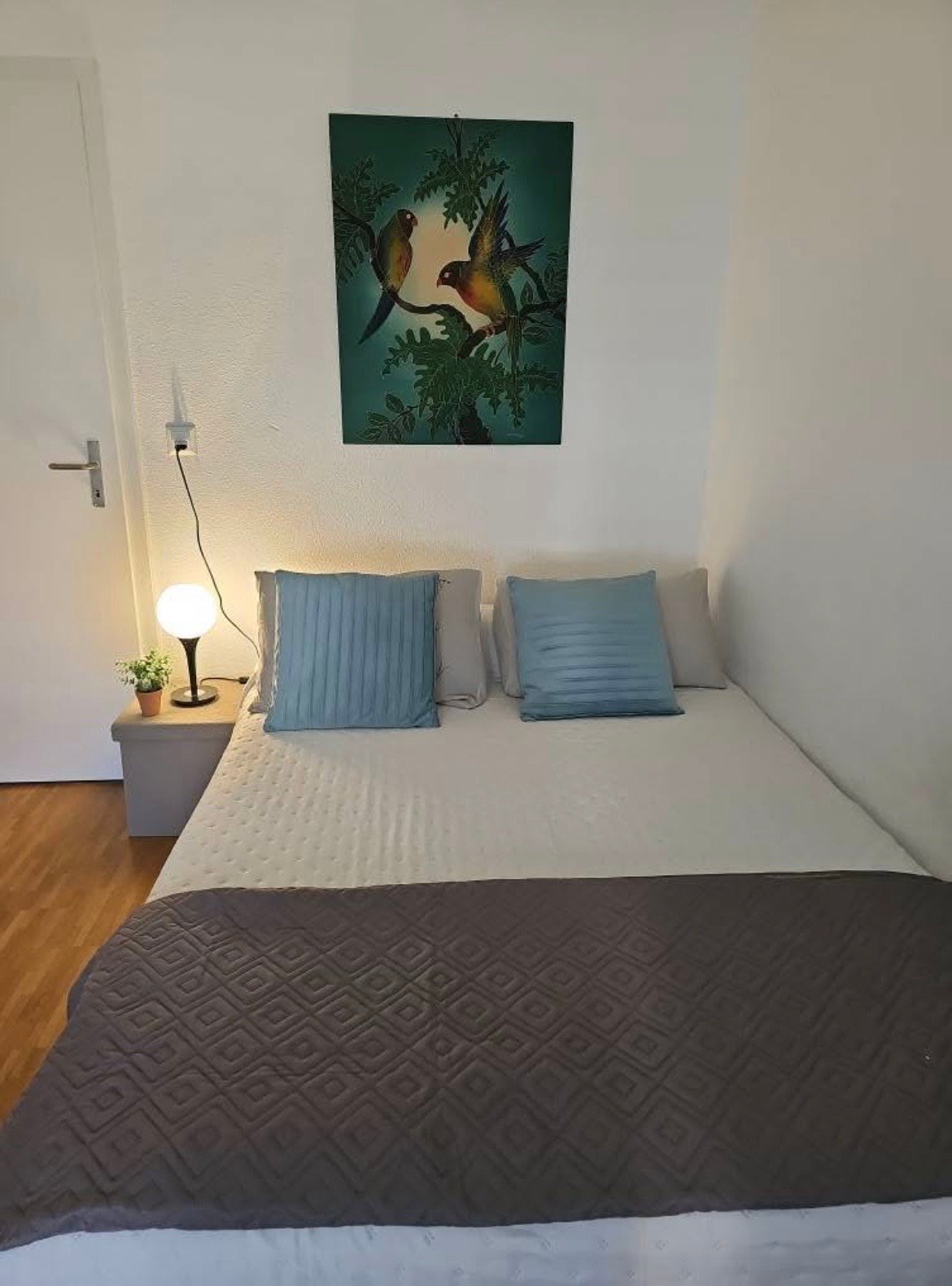 Room in a shared flat, photo 2 sur 5