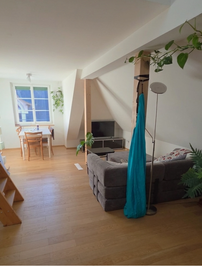 Appartement de 1 ½ pièces, photo 1 sur 10