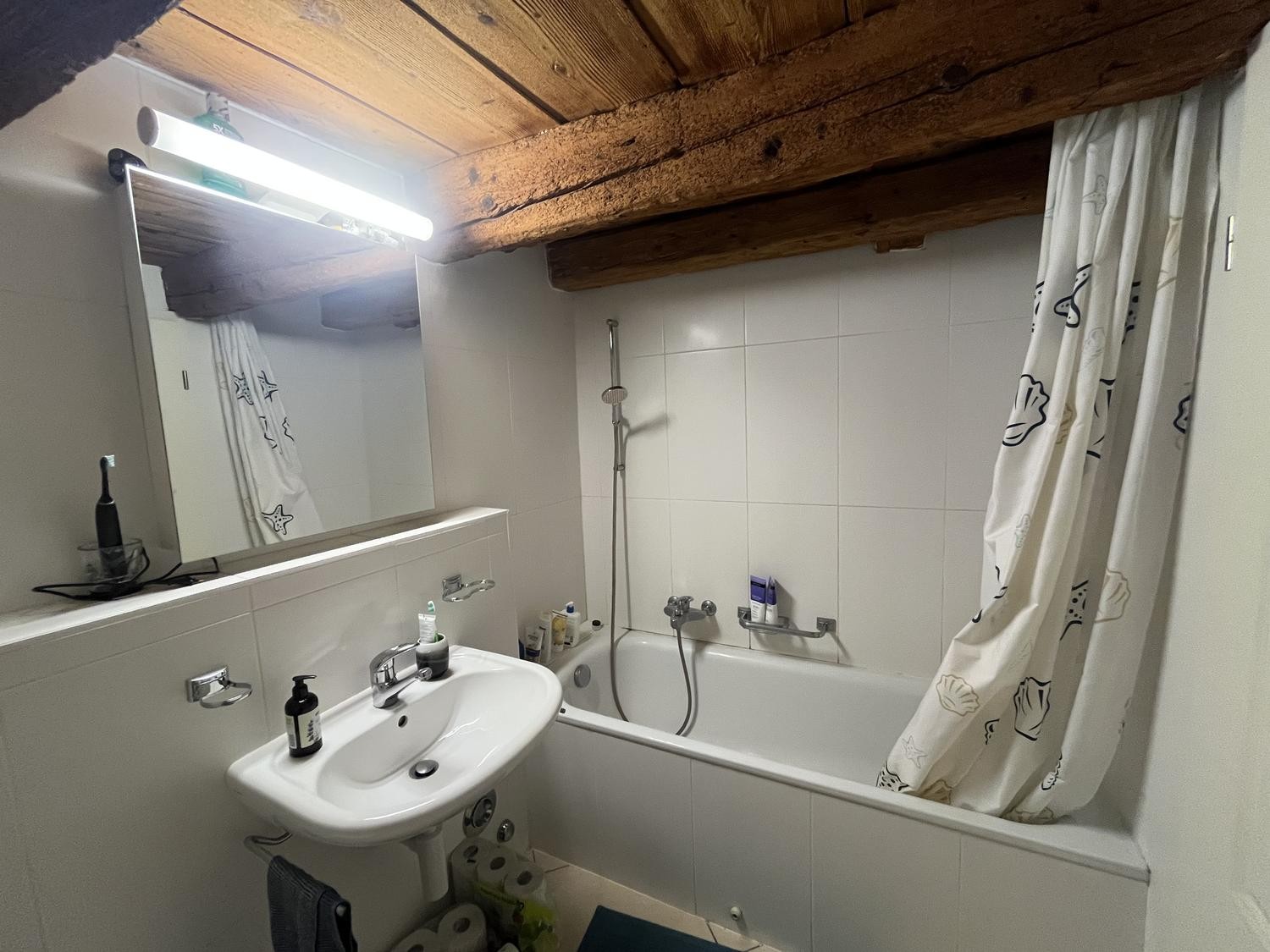 1 ½ rooms apartment, photo 4 sur 4