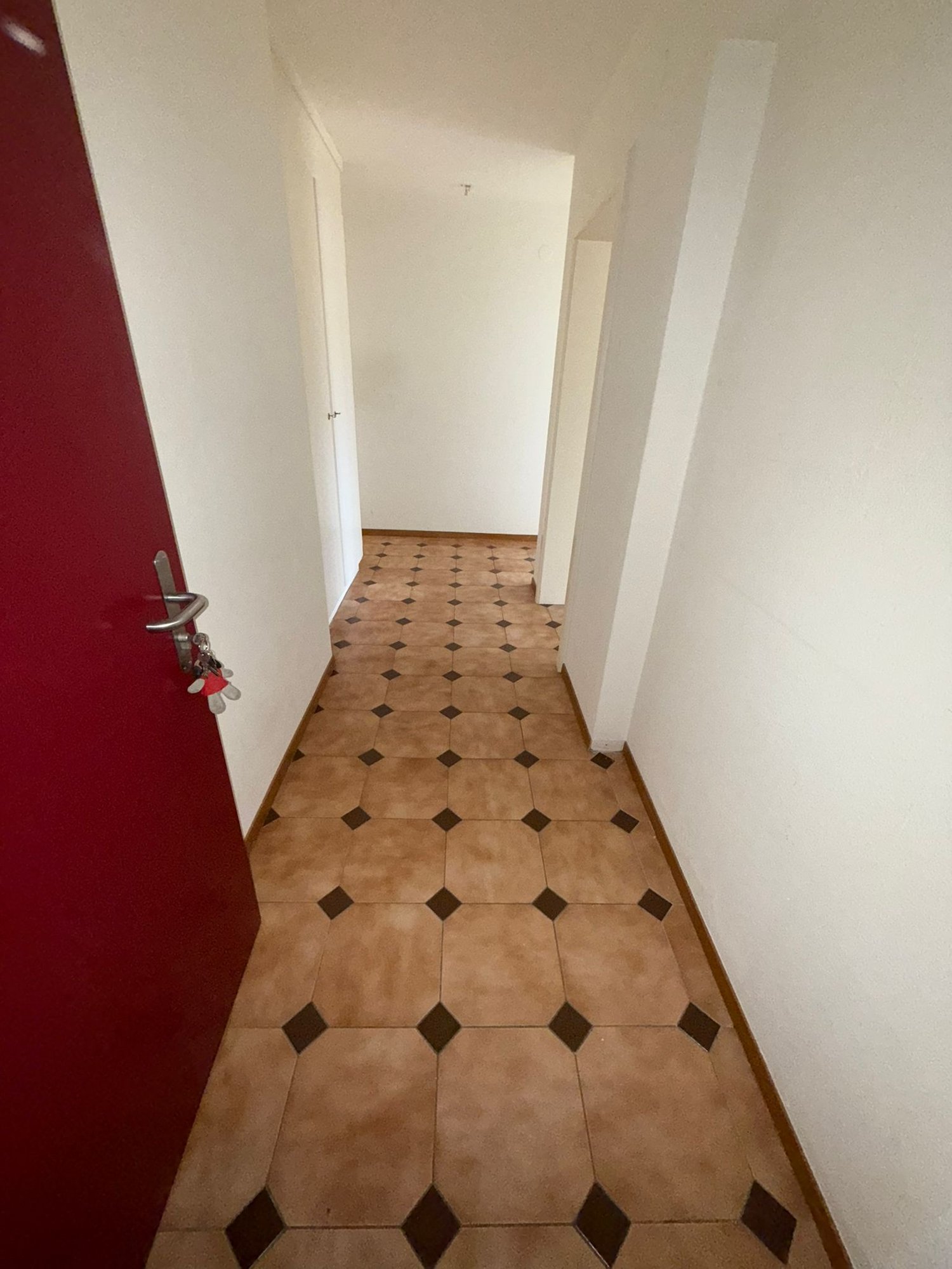 3 ½ rooms apartment, photo 4 sur 10