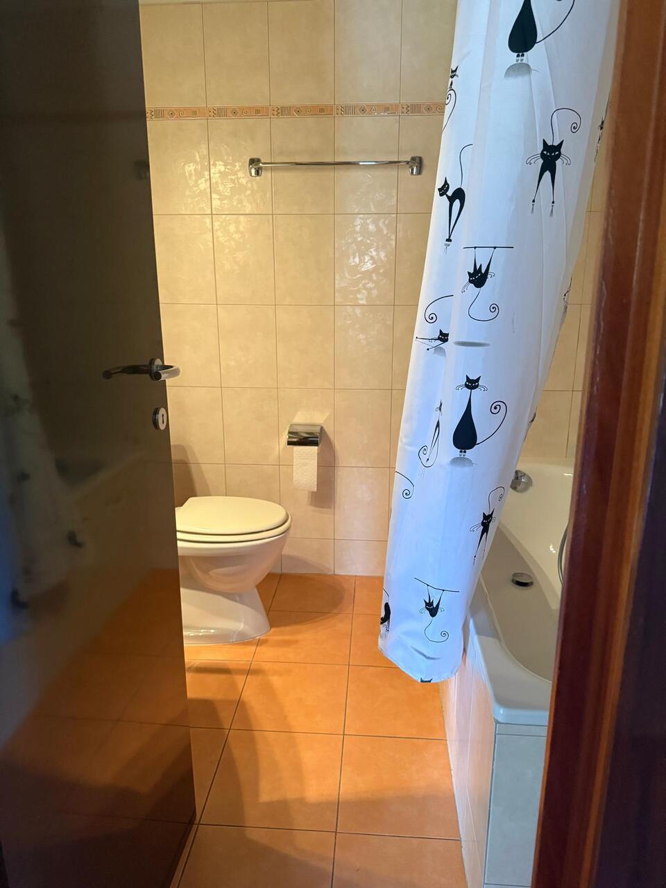 Appartement d'une pièce meublé, photo 8 sur 8