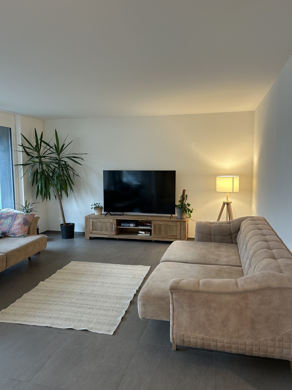 Chambre dans une colocation