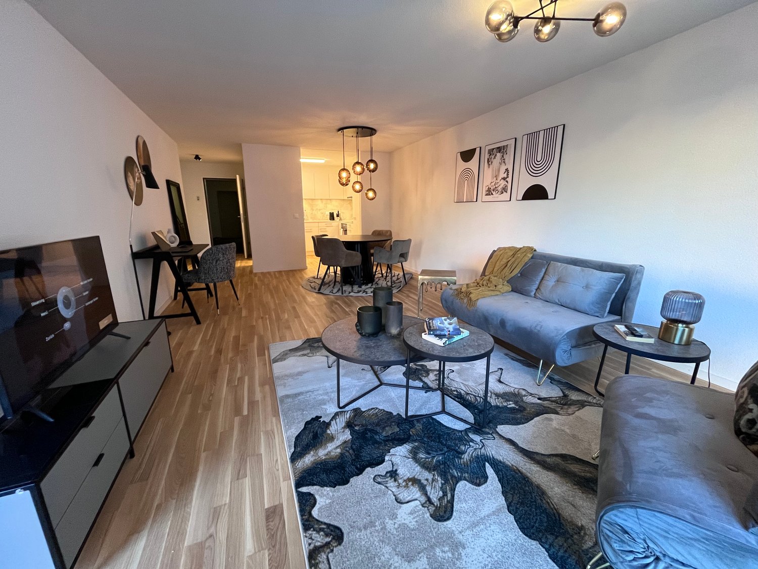 2 ½ rooms furnished flat, photo 2 sur 8