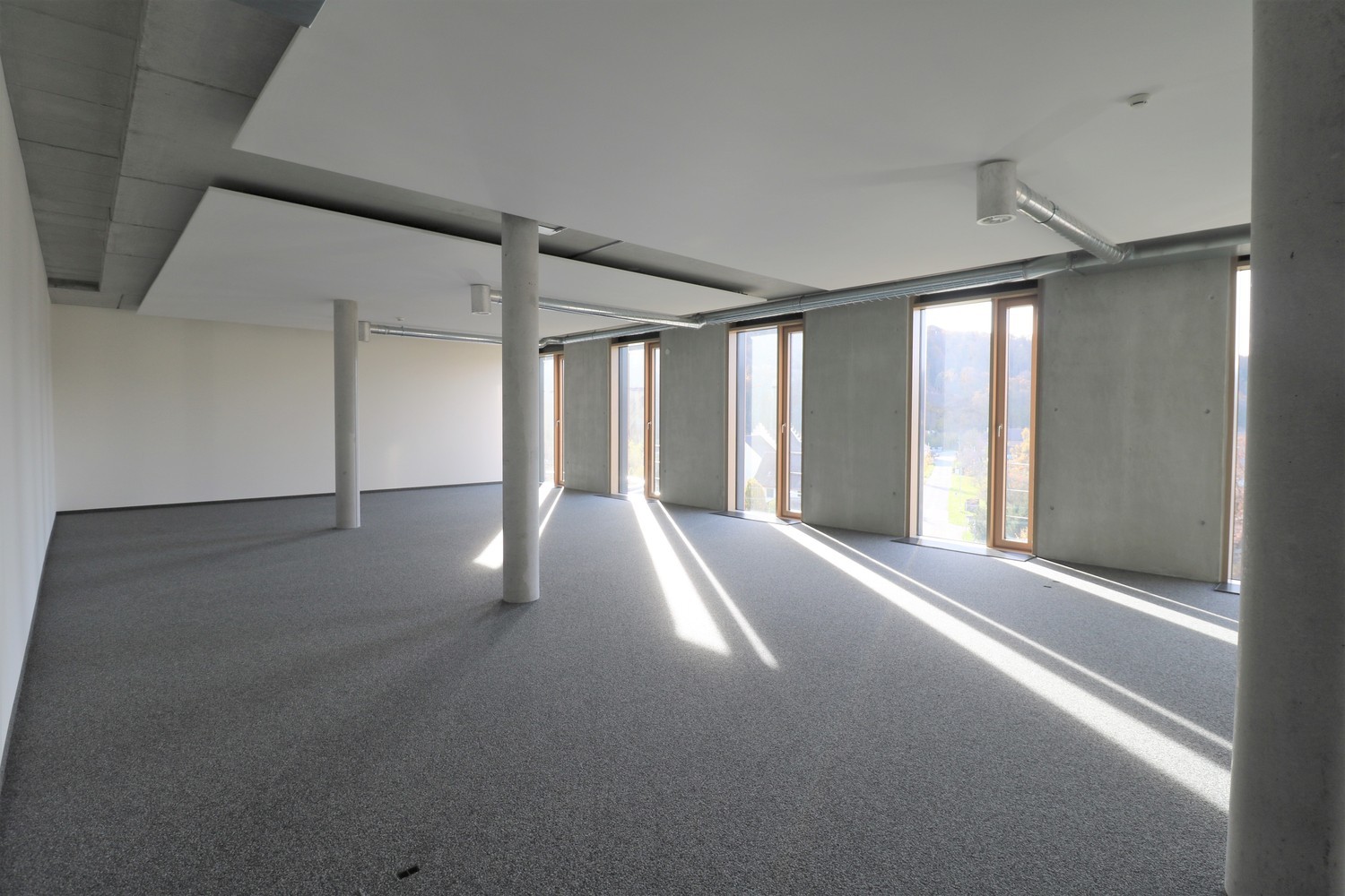132m² bureau, photo 2 sur 6