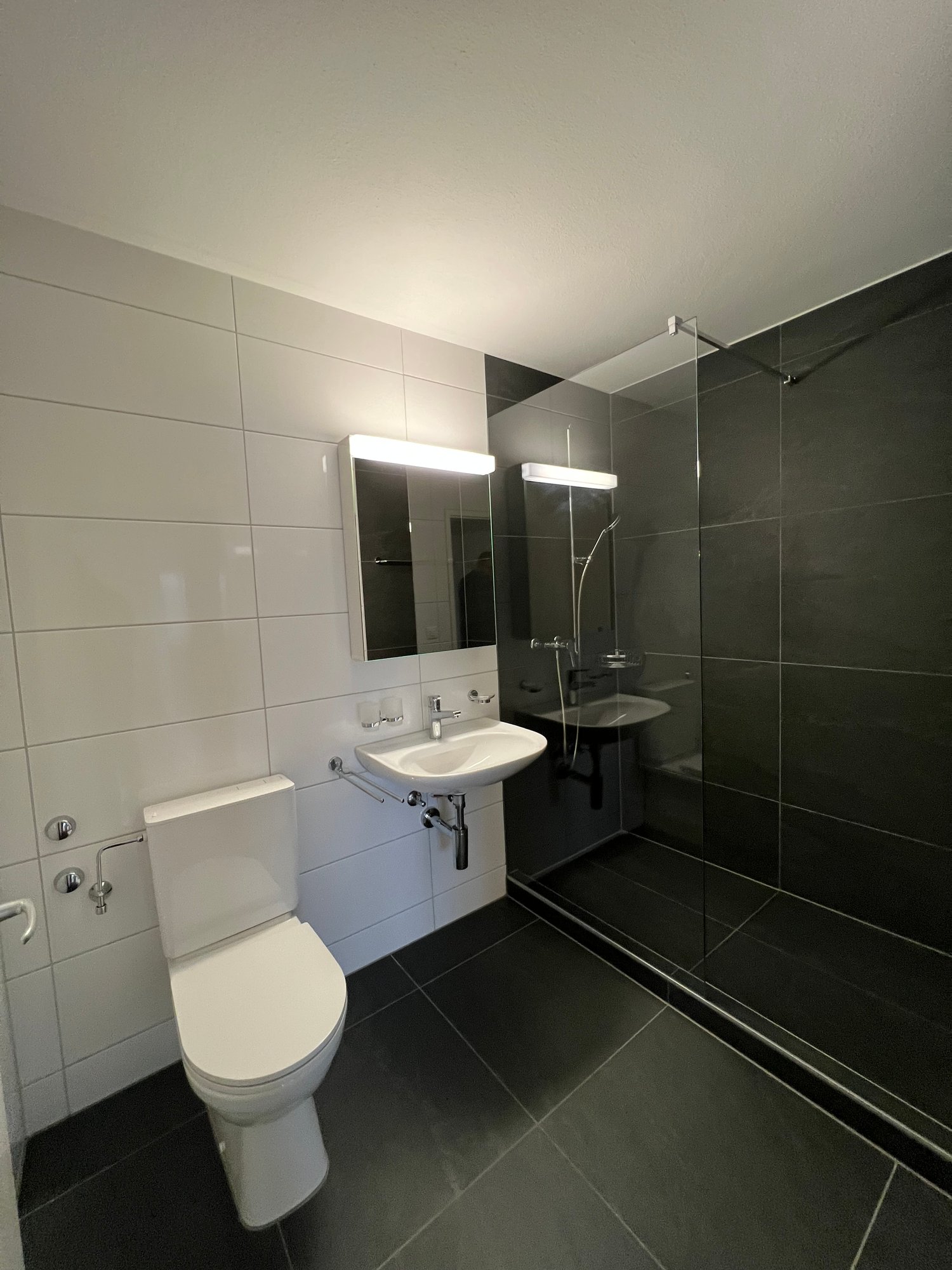 3 ½ rooms apartment, photo 3 sur 7