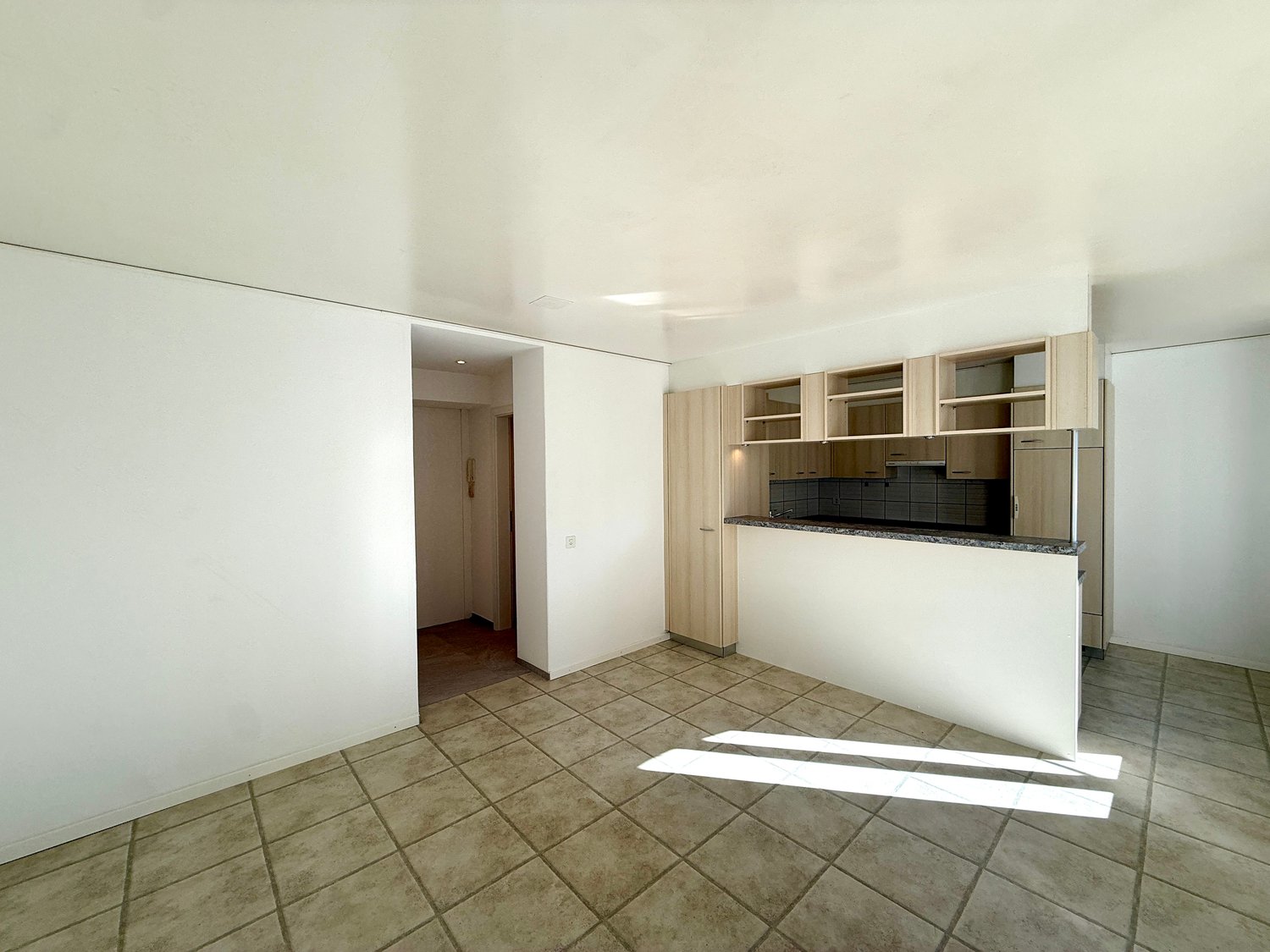 Appartement de 1 ½ pièce