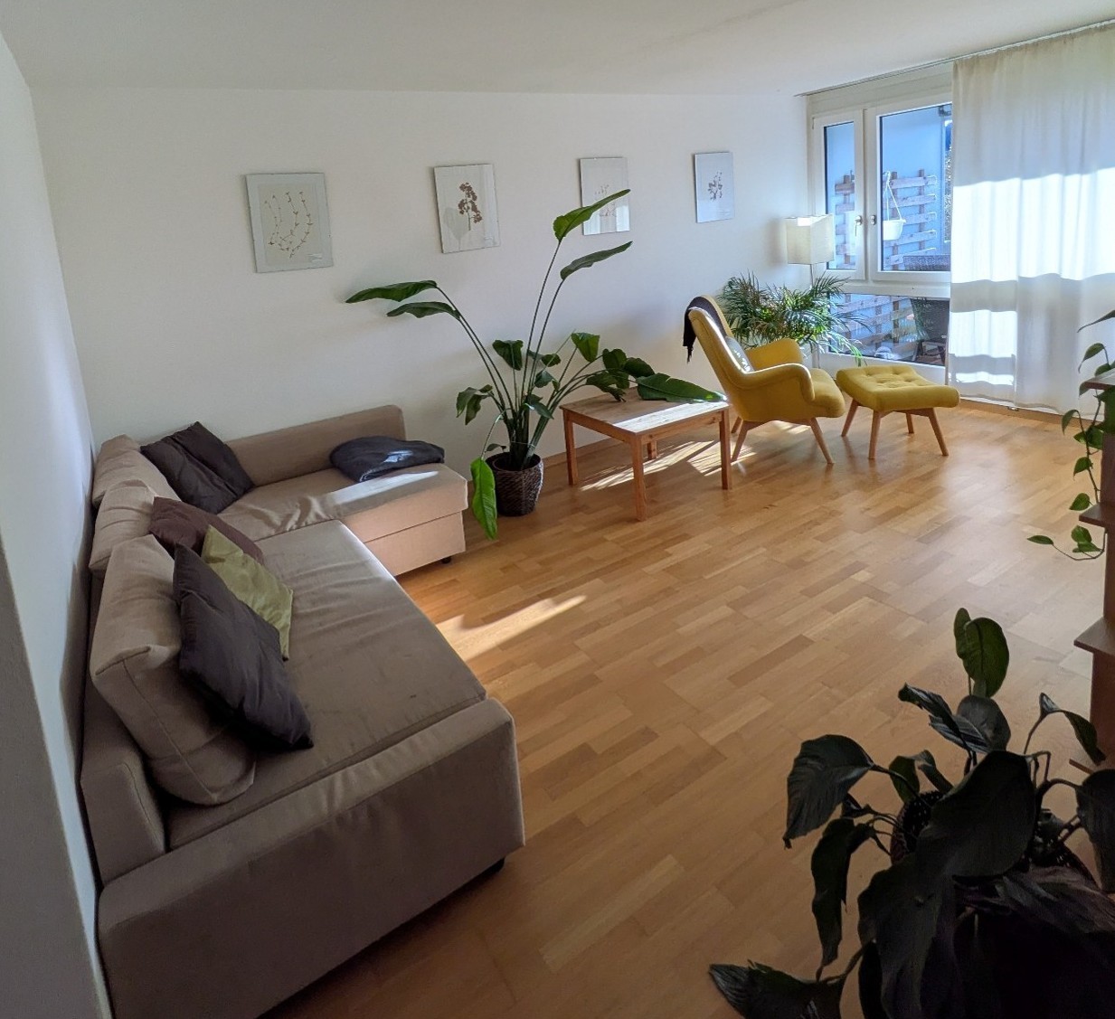 Appartement de 2 ½ pièces, photo 1 sur 8