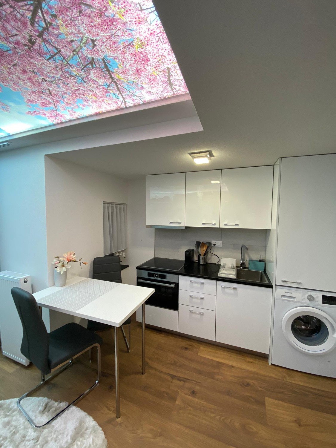 Appartement 1 ½ pièces