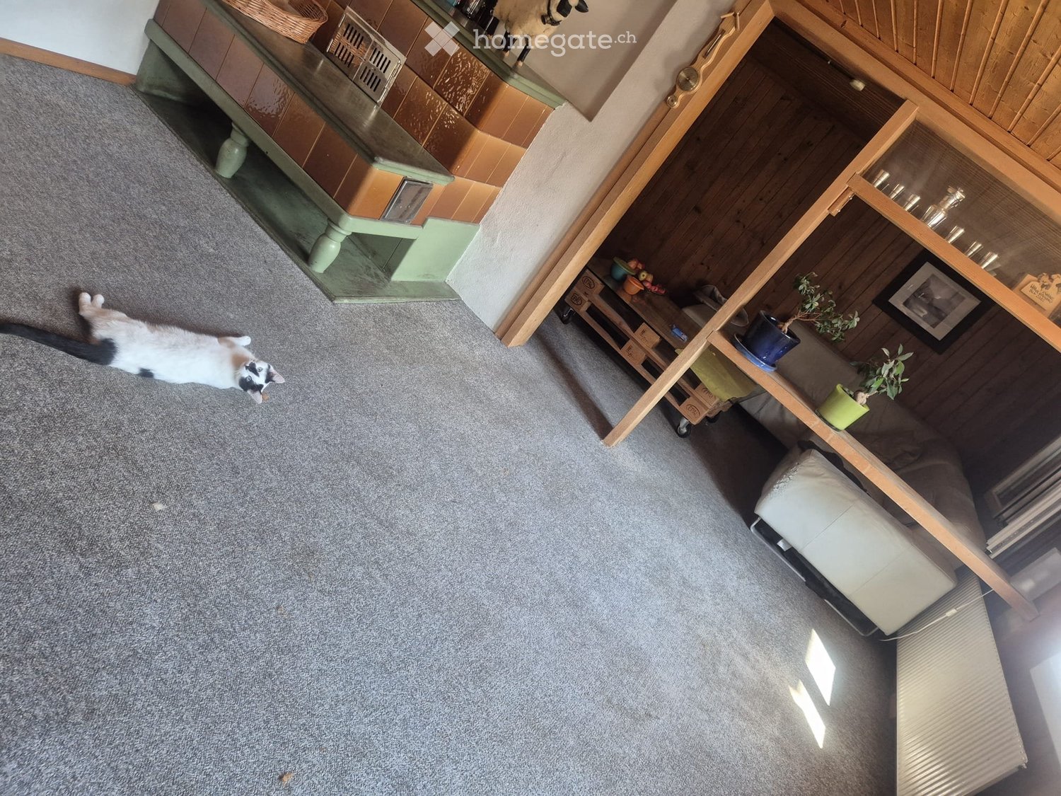 Appartement de 5 ½ pièces, photo 2 sur 5