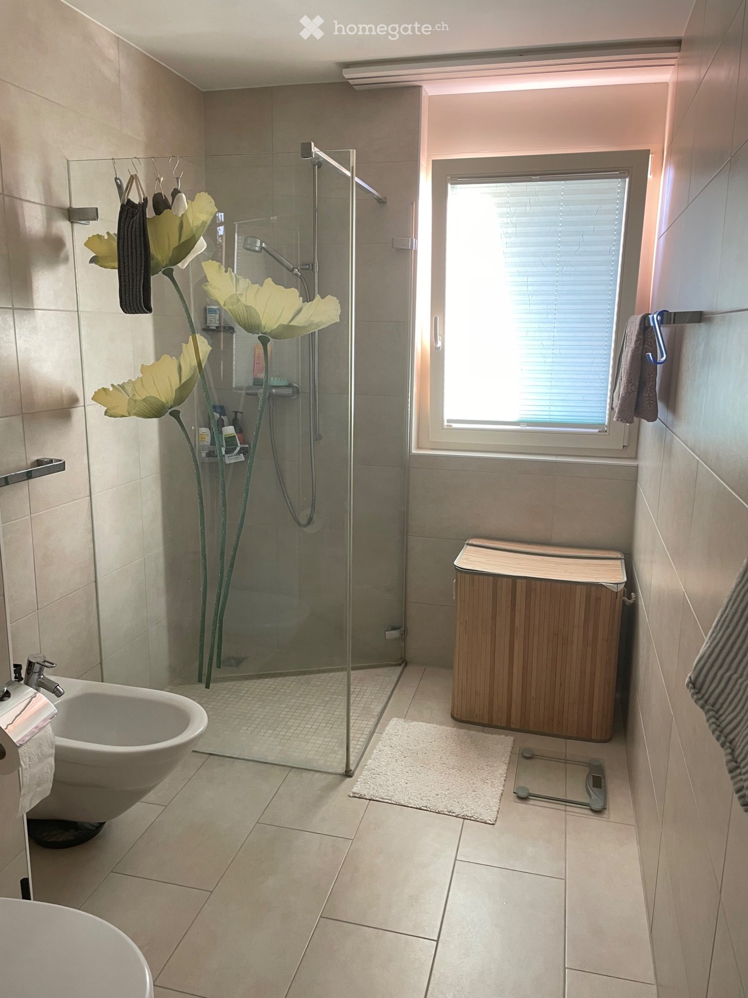 Appartement de 2 ½ pièces, photo 5 sur 5