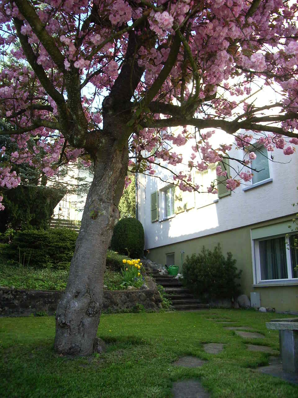 Appartement de 4 ½ pièces