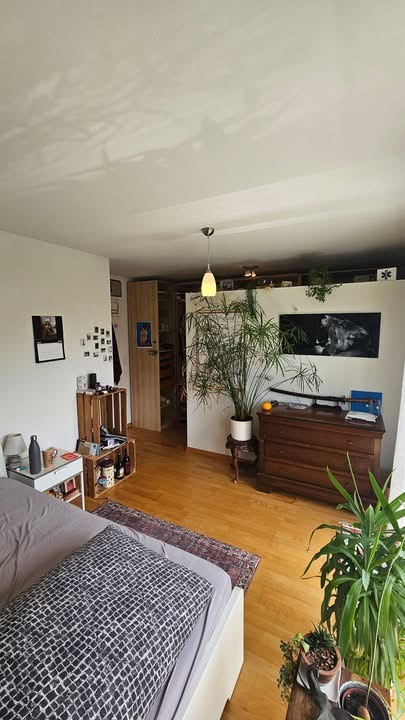 Room in a shared flat, photo 2 sur 7