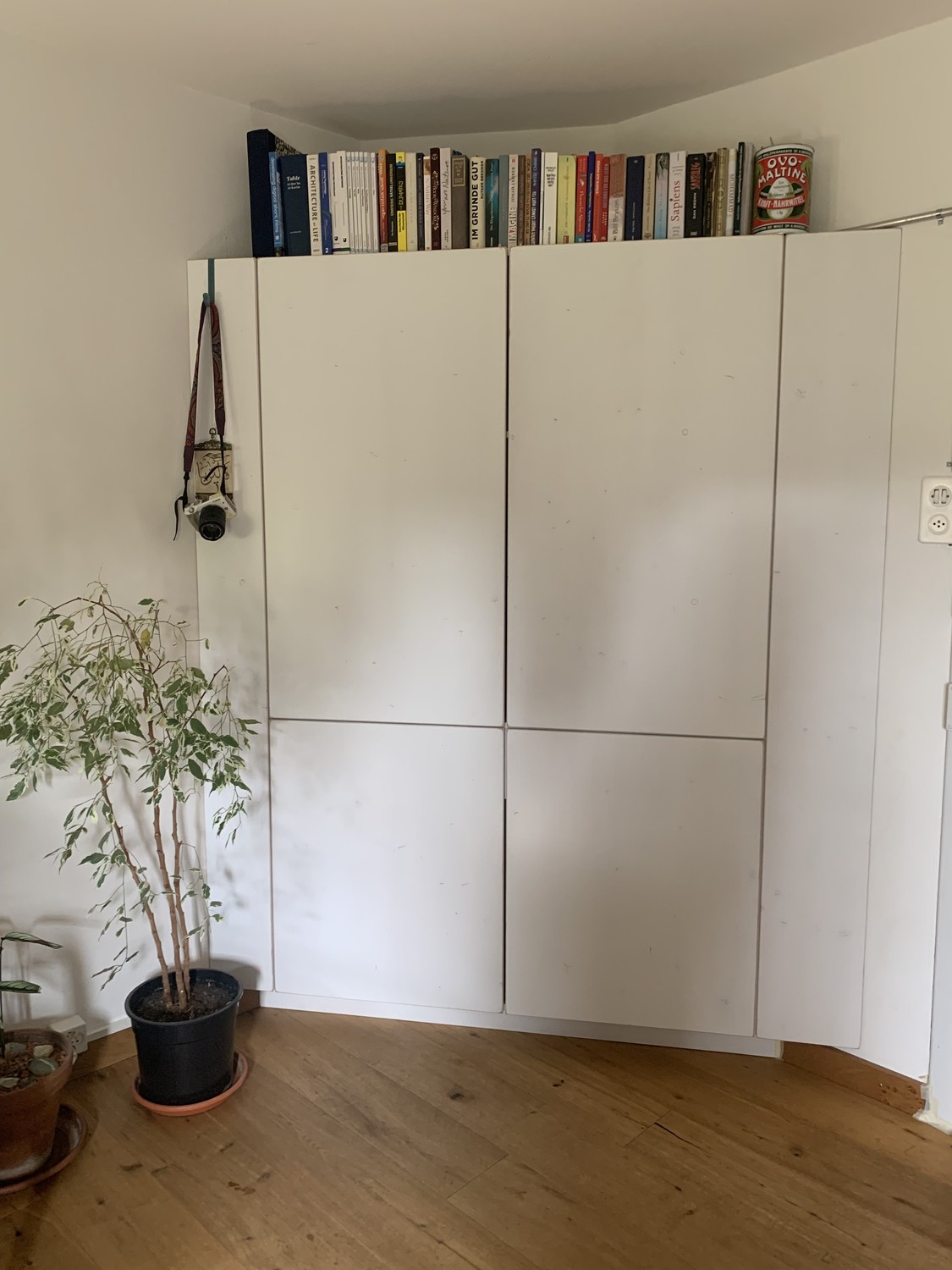 Appartement de 2 ½ pièces, photo 1 sur 7
