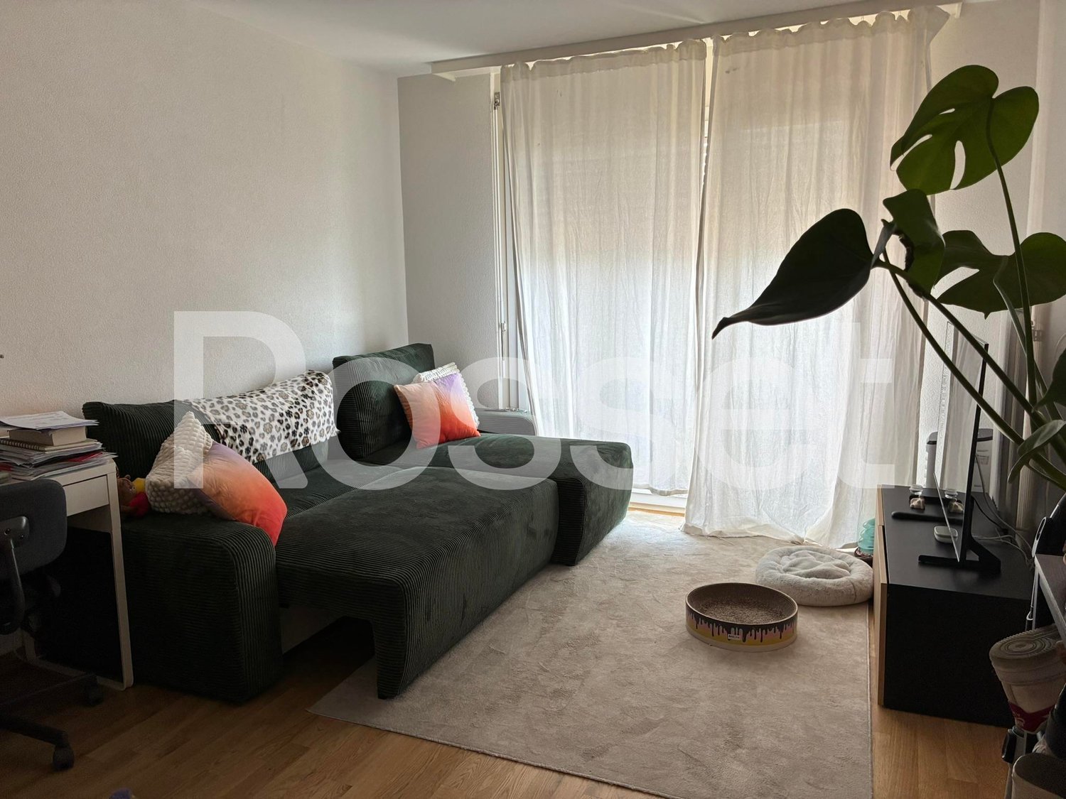 1 ½ rooms apartment, photo 3 sur 3
