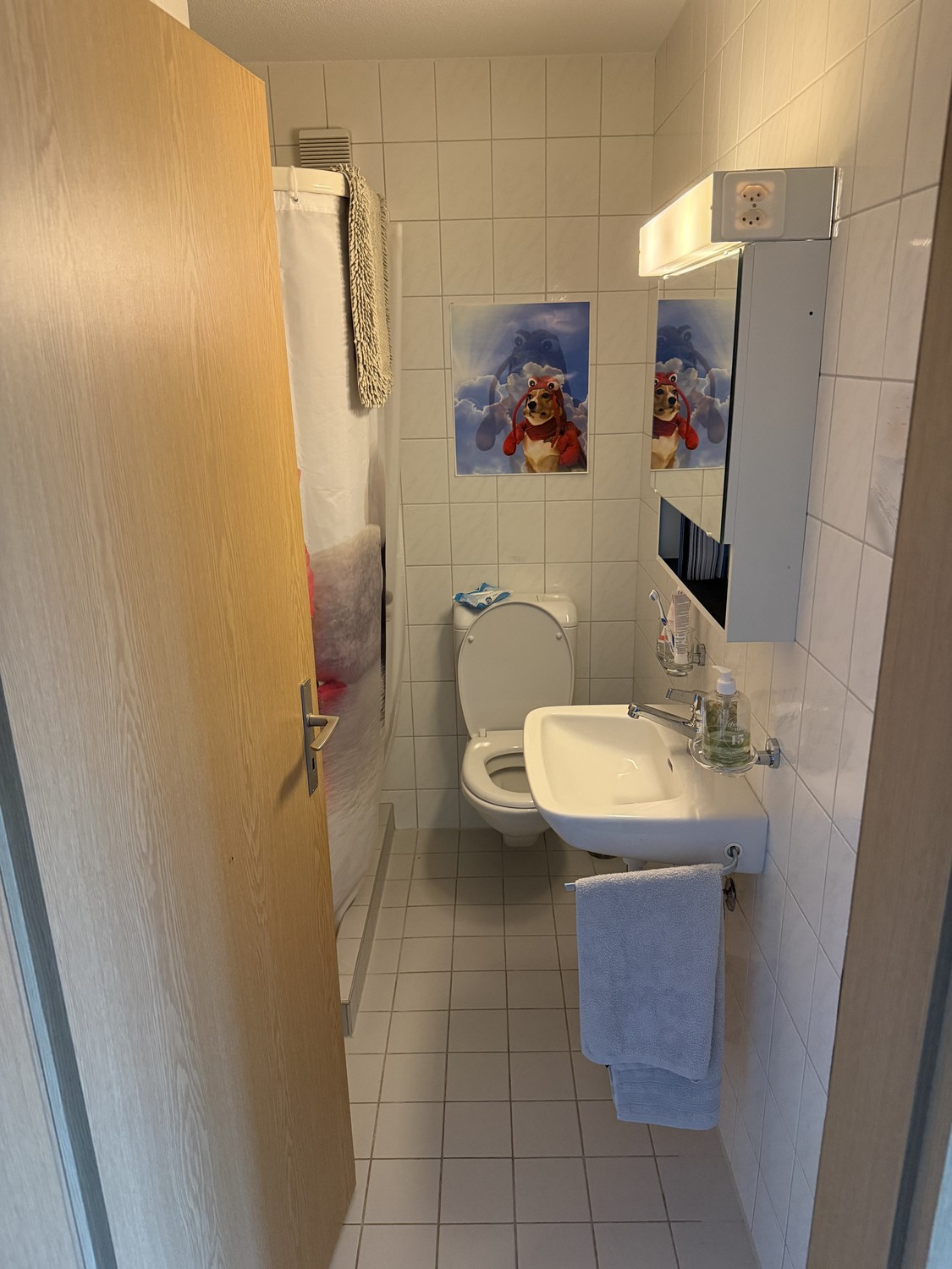 Room in a shared flat, photo 6 sur 10