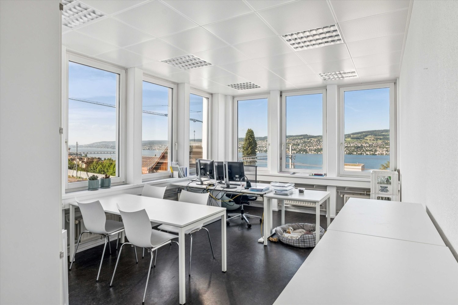 381m² de bureaux, photo 4 sur 6