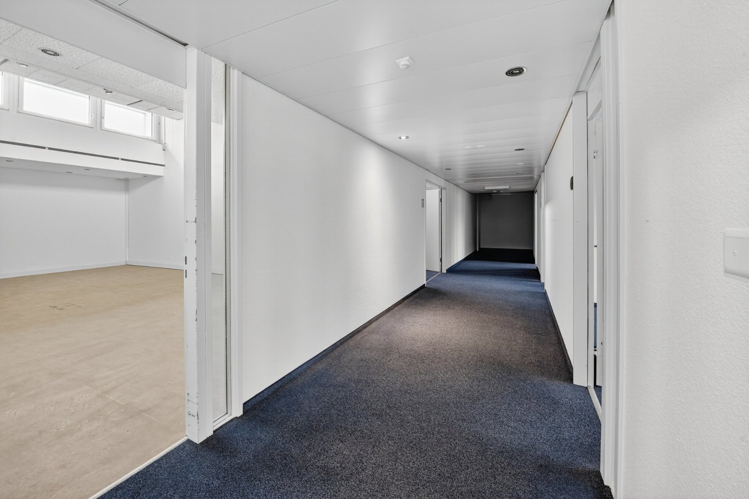 Bureau de 292m²