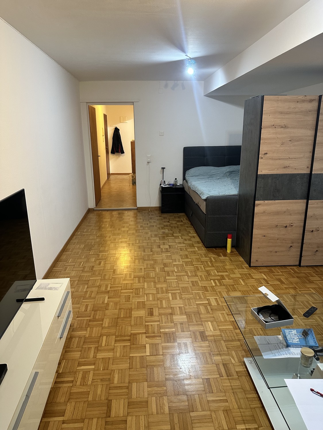 appartement 1 pièce