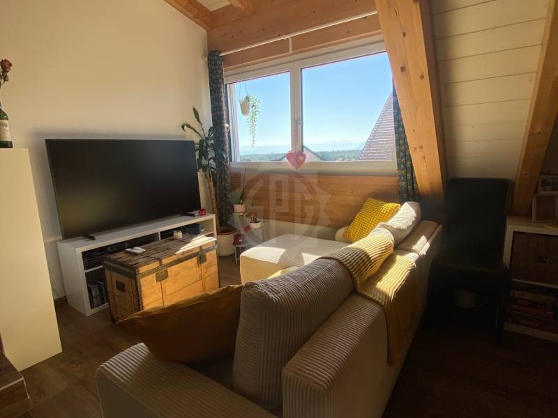 1 ½ rooms studio