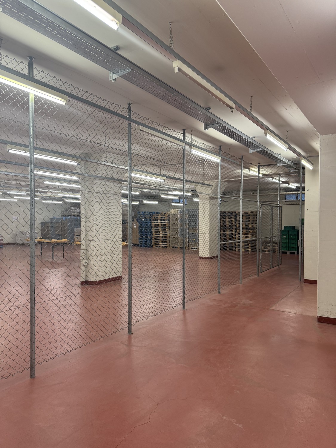 711m² de local de stockage, photo 5 sur 10