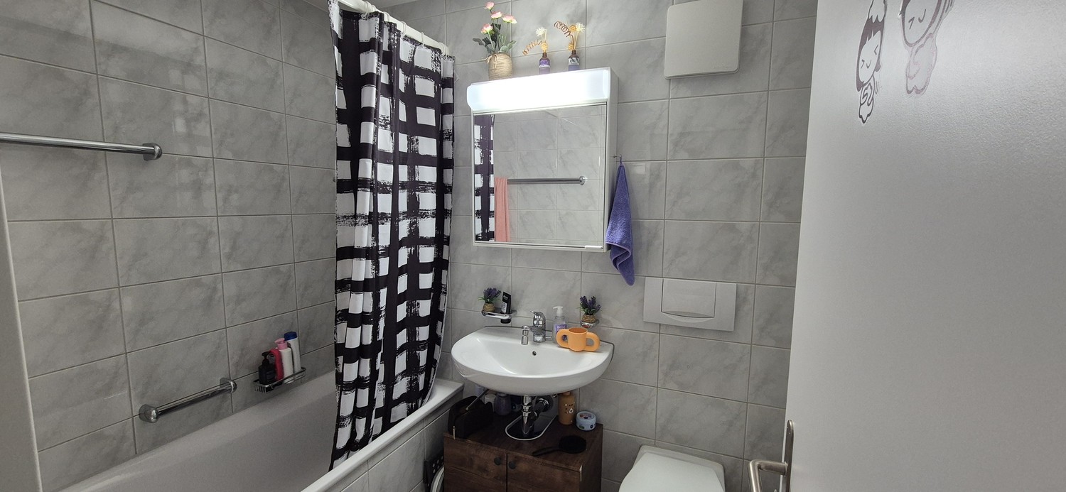 Appartement de 2 ½ pièces, photo 7 sur 9