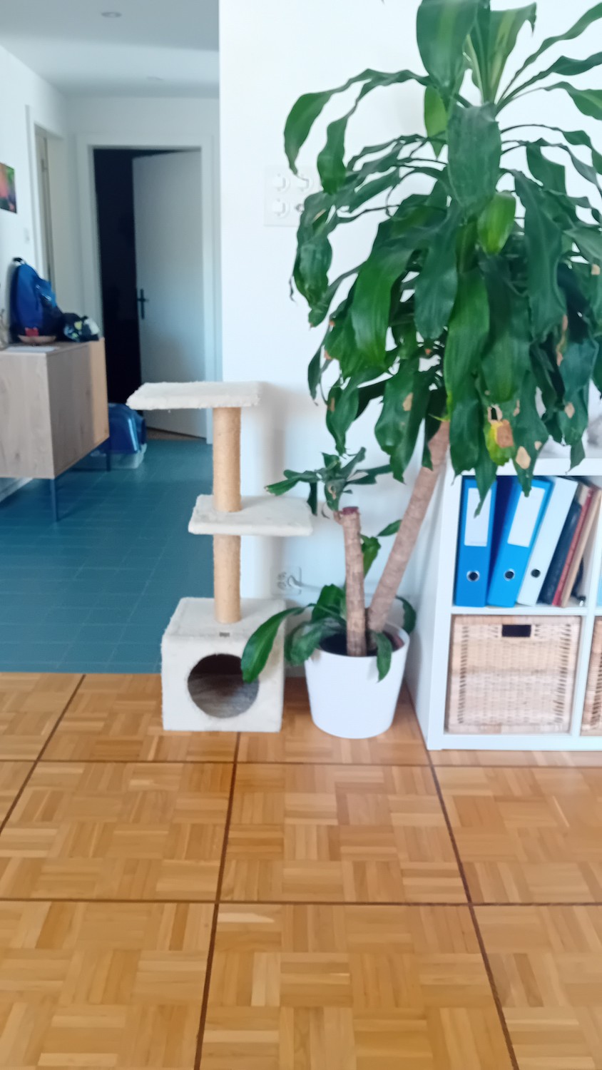 Chambre en colocation, photo 1 sur 7