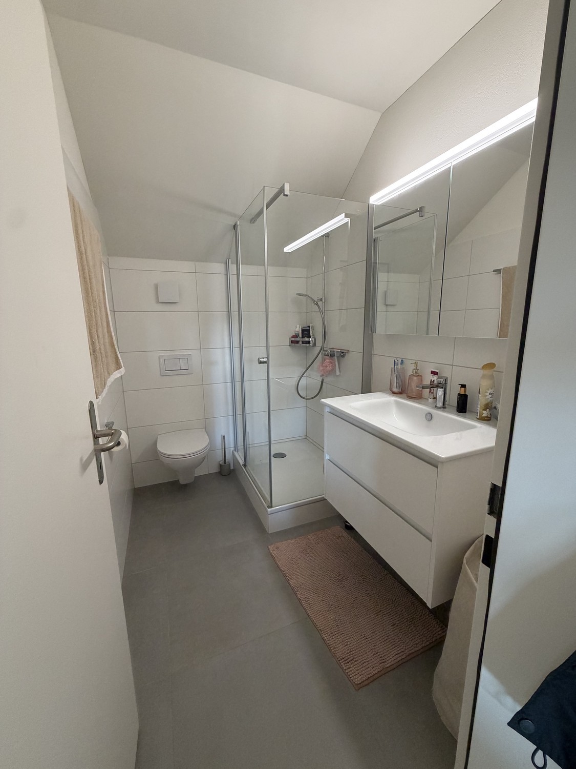 Appartement de 3 ½ pièces