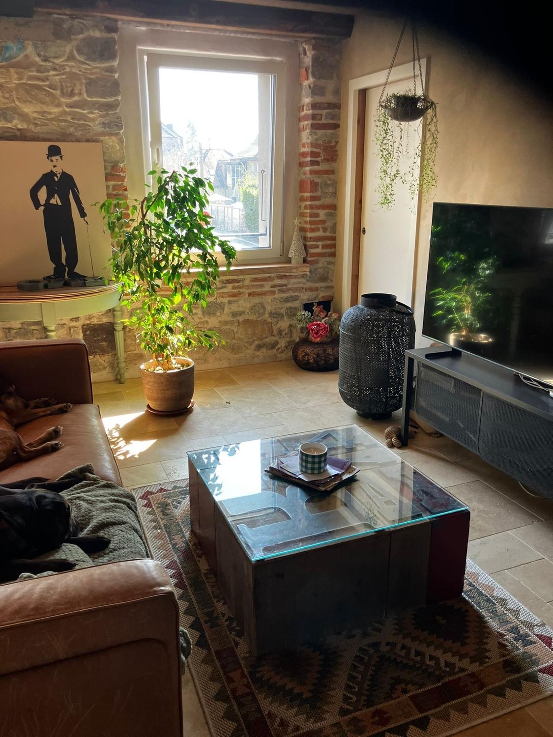 3 ½ rooms apartment, photo 2 sur 6